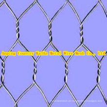 Galvanizado Hexagonal Wire Mesh, revestido de PVC Hexagonal Wire Mesh ----- 34 anos facyory